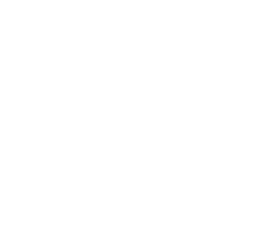 Lumusoft referances - Bidon